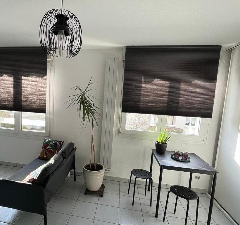 Appartement Zen-Itude à Strasbourg Extérieur photo